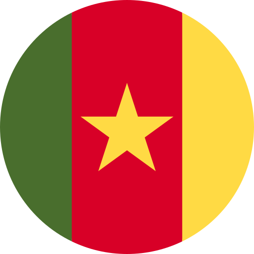 Cameroon flag